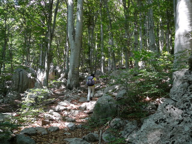 Vila Iva